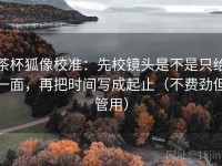 茶杯狐像校准：先校镜头是不是只给一面，再把时间写成起止（不费劲但管用）