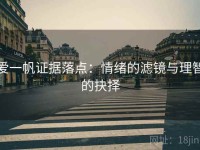 爱一帆证据落点：情绪的滤镜与理智的抉择