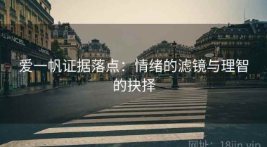 爱一帆证据落点：情绪的滤镜与理智的抉择