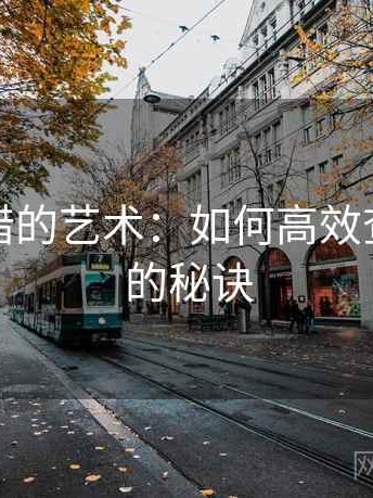 动漫排错的艺术：如何高效查找问题的秘诀