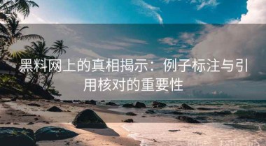 黑料网上的真相揭示：例子标注与引用核对的重要性