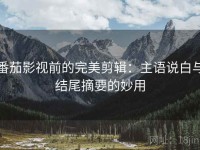 番茄影视前的完美剪辑：主语说白与结尾摘要的妙用
