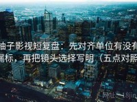 柚子影视短复盘：先对齐单位有没有漏标，再把镜头选择写明（五点对照）
