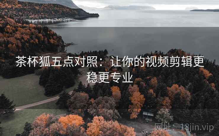 茶杯狐五点对照：让你的视频剪辑更稳更专业