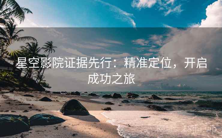 星空影院证据先行：精准定位，开启成功之旅