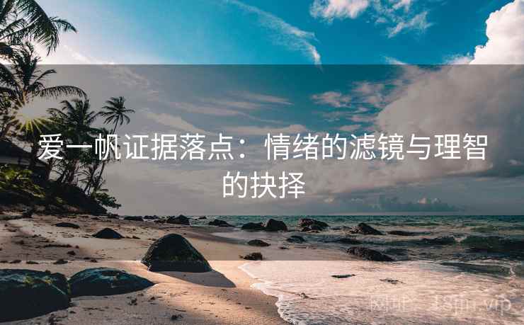 爱一帆证据落点：情绪的滤镜与理智的抉择