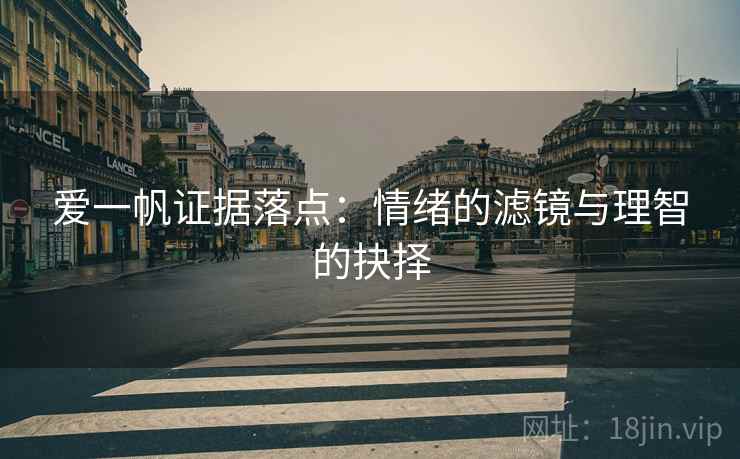 爱一帆证据落点：情绪的滤镜与理智的抉择